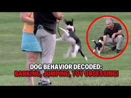 Why Your Dog Won’t Listen: The 3 Habits You MUST Fix | Dog Nation Throwbacks