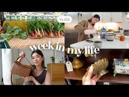 WEEK IN MY LIFE VLOG | Spring Quince Try on Haul, Garden updates, Antique shopping & lots more!