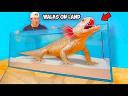 I Bought Fish That Walk On Land…