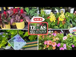 HEB Texas Backyard Plant Shopping in Late April!