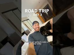 Road Trip Day 3: sleepy pups 😴 Durango 🚞 Mesa Verde 🌲 Four Corners ✖️Flagstaff 🏔️