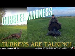 Northern Missouri Turkey Success | Gobbler Madness | Spring Turkey Hunt 25'