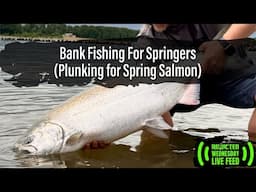 Bank Fishing For Springers (Plunking For Spring Salmon)