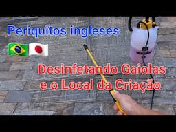 Desinfetando as Gaiolas e o Local da Criação Periquitos ingleses