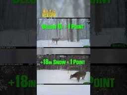 These animals were built for these conditions #whitetail #predation #hunting #shorts