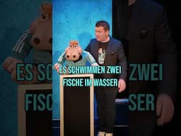 Kurz und knapp und flach! 🤣 #shorts