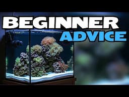 Common Mistakes to Avoid in Saltwater Aquariums
