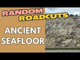 Random Roadcuts #35: Utah's Ancient Seafloor Revealed