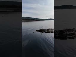 Paddleboard time, a paddle down the coast.#paddleboarding #paddleboard
