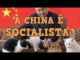 A CHINA É SOCIALISTA?