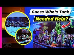 Tank Updates | 4000 Gallon, Vic’s Rebuild, and Lou’s Hidden Gem!