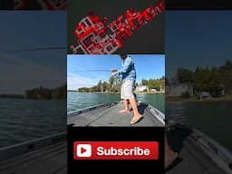 🤫 Have You Forgotten About This Lure?! Everyone Else Has! 🤫