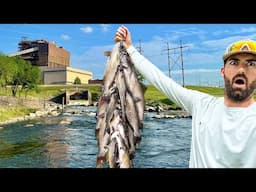 BEST Spillway Catfishing of the YEAR! -- I've NEVER SEEN Them This Crazy...  (Every Cast!)