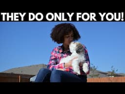 5 Things That Shih Tzus Do ONLY For Their FAVORITE Humans