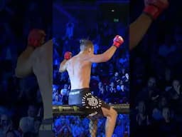 Could Ádám Borics’ Bellator debut have gone any better? #MMA #Bellator #Shorts