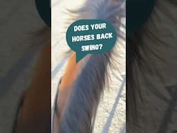 Is Your Horse's Back Healthy? Watch Their Tail!