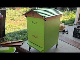 Painting The FlowHive | Beekeeper | Husbandry