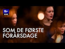 Som de første forårsdage // DR Pigekoret (LIVE)