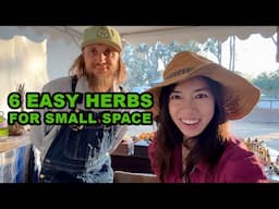 6 Easy Herbs You NEED To Grow At Home!
