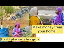 How to set up your home garden, SEEDLINGS || Nursery beds : hydroponics & green house in Nigeria