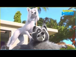 Lights, Camera…Inaction! | Mighty Mike | 55' Compilation | Cartoon for Kids