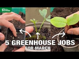 March Gardening Tips: 5 Greenhouse Jobs for Spring Success.
