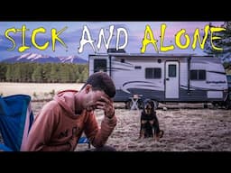Sick and Alone - Off-Grid Camping Down Old Forest Roads in Arizona