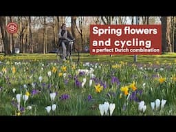 A diversity of people cycling past Spring flowers in the Netherlands