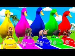 Long Slide Game With Cow Elephant Gorilla Hippopotamus Tiger 3d Animal Game Funny 3d Animals