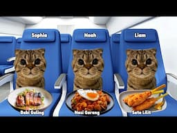 CAT MEMES FAMILY ROAD TRIP TO BALI BEACH