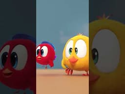Arrow #chicky | Chicky Cartoon in English for kids