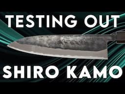 TESTING OUT - SHIRO KAMO