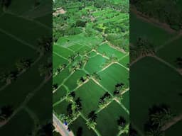 Thamarappadam, kollengode