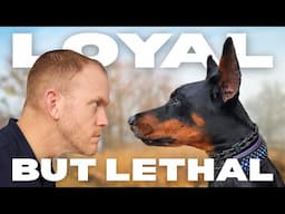 This Doberman Could Break Me in Half… But He Won’t