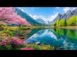 Relaxing Music with Nature Sounds 🌿 Reduce Stress and Increase Peace | Sleep Music