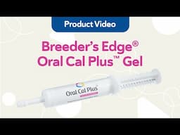 Breeder’s Edge Oral Cal Plus Gel | Calcium Support for Whelping Dogs & Queening Cats