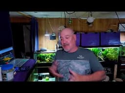 Friday Night Fish N Hits w/ Dan