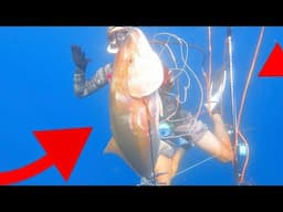 This Turned Into A DISASTER! Spearing HUGE Fish On a TINY Watercraft!