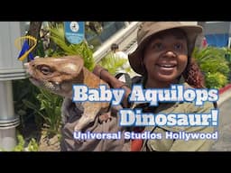 New Aquilops Baby Dinosaur Makes Appearance at Universal Studios Hollywood
