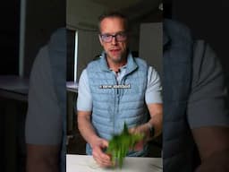 Handling Pots vs. Plant Clip (with Explosions)