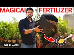 Homemade Fertilizer for Plants | How to make a Compost at home