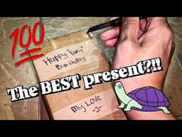 The BEST GIFTS for a Tarantula Keeper’s BIRTHDAY!!! ~ It’s 2am!!!