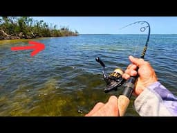 Easy Spring Fishing | Drifting Flats with Artificials | CharlotteHarborFisherman