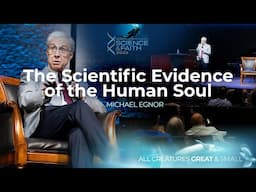 Is The Soul Real? A Neurosurgeon Explores The Evidence (2025 Dallas Conference on Science & Faith)