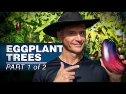 This Garden Hack Made My Eggplants Grow 10 FEET HIGH!
