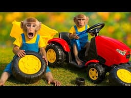 Baby monkey Bim Bim gets a new tractor and rescues a trapped puppy