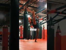The way of the Martial Artist.