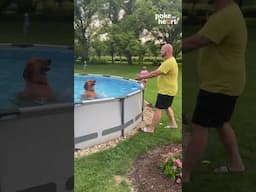 His owners waited. Copper floated.