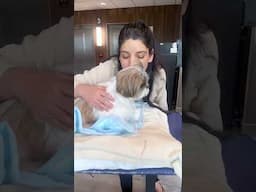 Life ne kahan la kar khada kar diya hum sab ko❤️‍🩹 Murphy ki first chemotherapy 🙏❤️‍🩹