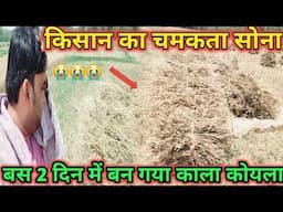 किसान का चमकता सोना बस 2 दिन में बन गया काला कोयला || Gehu ki tyari || gehu ki kheti ||